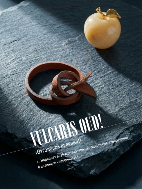 Ремешок на сумку-БРАСЛЕТ-держатель Брелока Унисекс Pi-VULCARIS OUD!